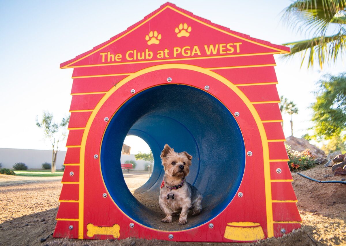 A small dog sits inside a red doghouse tunnel labeled The Club at PGA WEST on a sunny day.