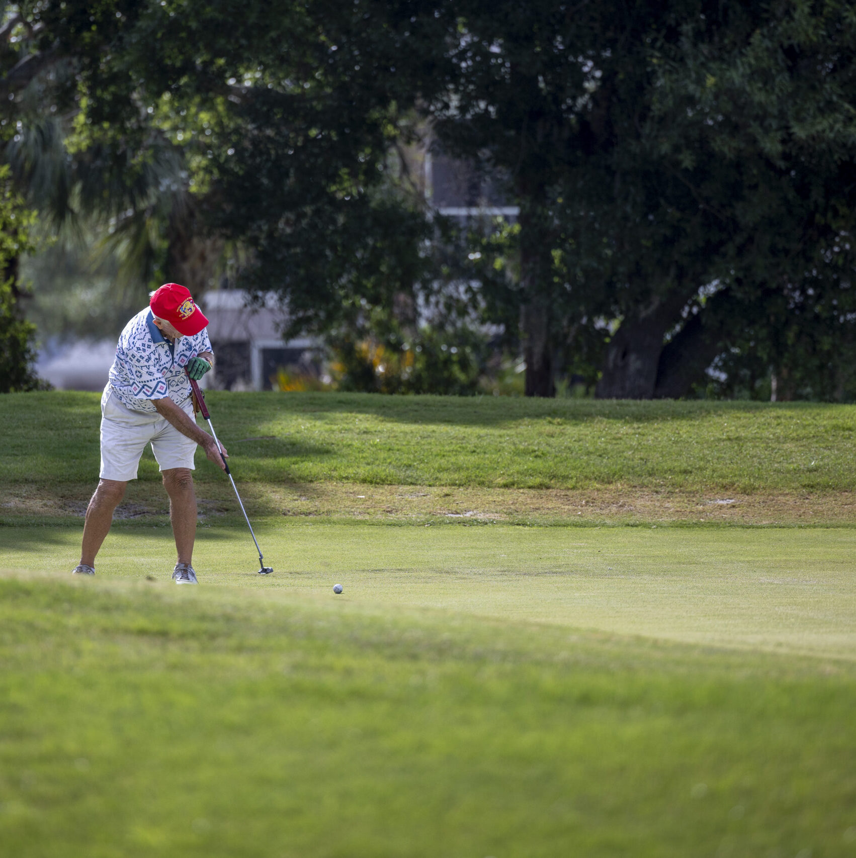 A person in a red hat and shorts is playing golf on a green course surrounded by trees.